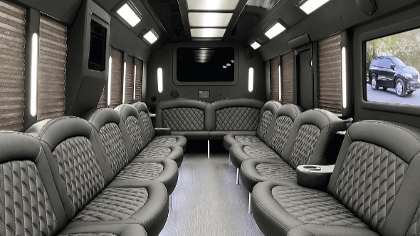 lake elsinore 20 passenger party bus